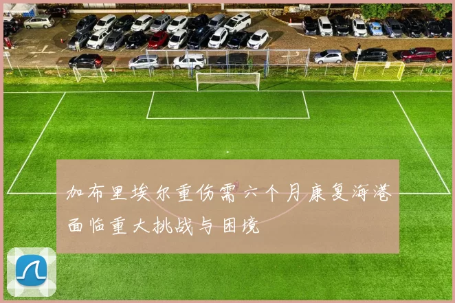 加布里埃尔重伤需六个月康复海港面临重大挑战与困境